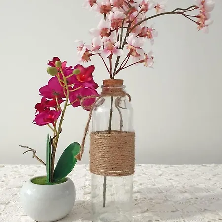 Lägenhet Paola Zadar