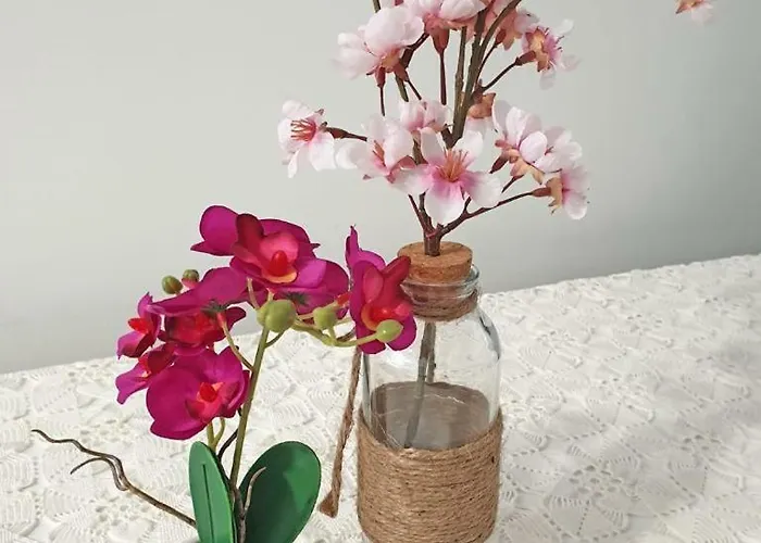 Lägenhet Paola Zadar